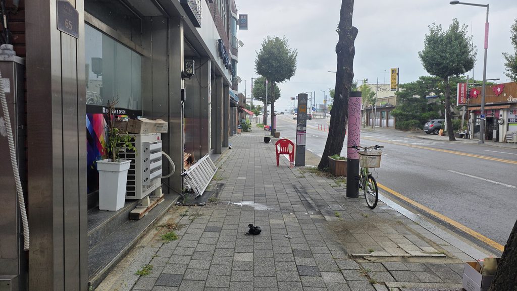 2026-05176-001 세종 공유지분 공매 낙찰 현장조사 조치원읍 상리 물건 앞 도로와 주변 상권